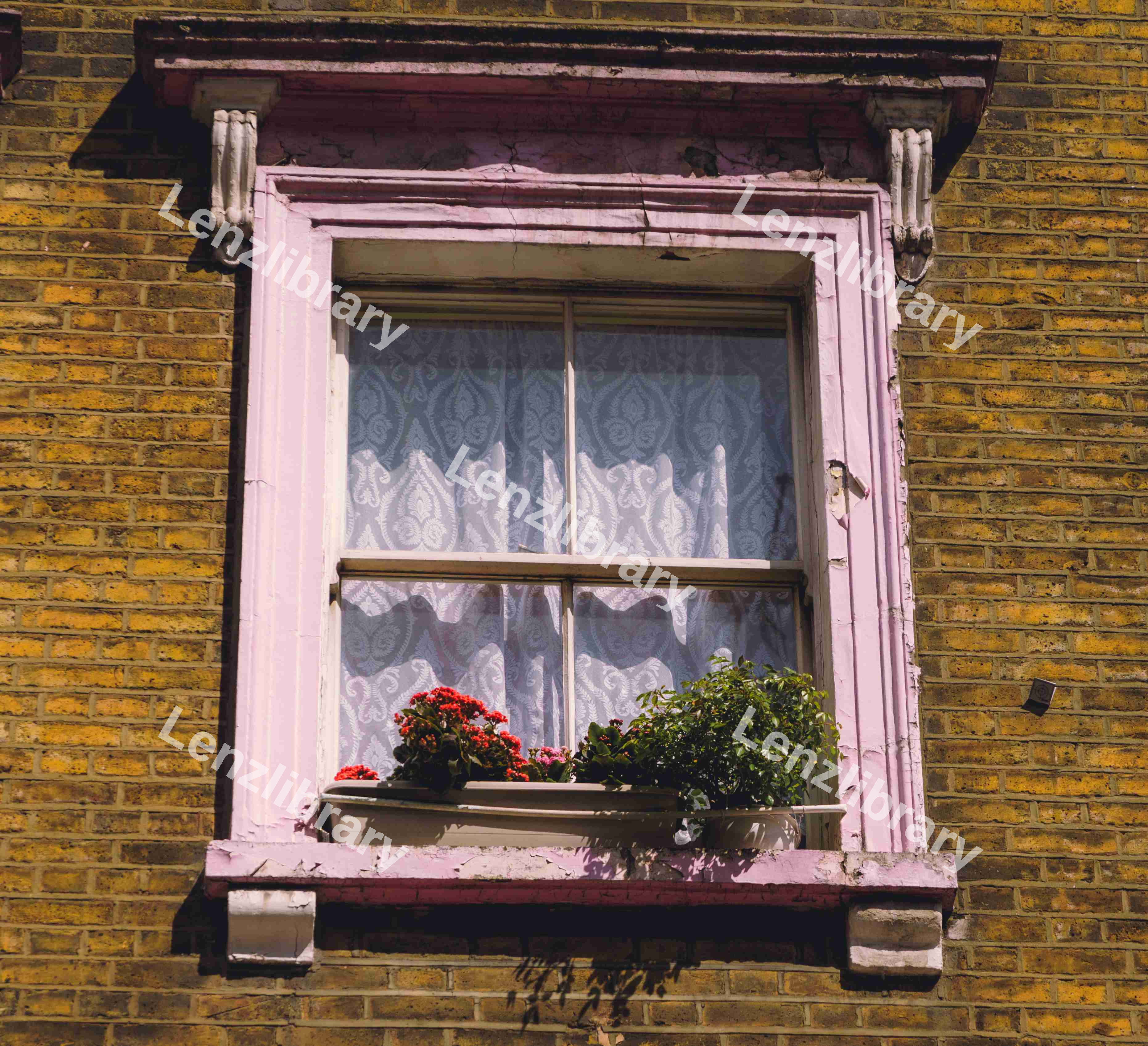 Plant Pot On A Window Sill